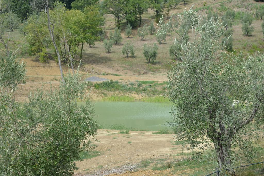 Podere Delle Fanciulle Πιστόια Εξωτερικό φωτογραφία