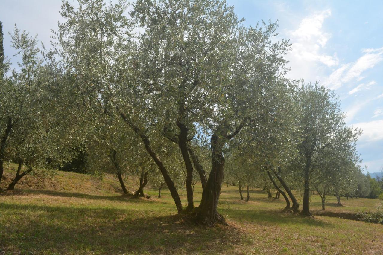 Podere Delle Fanciulle Πιστόια Εξωτερικό φωτογραφία
